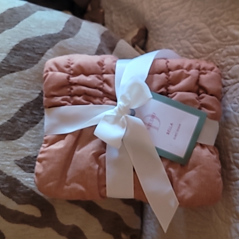 Studio D Bella Euro Sham